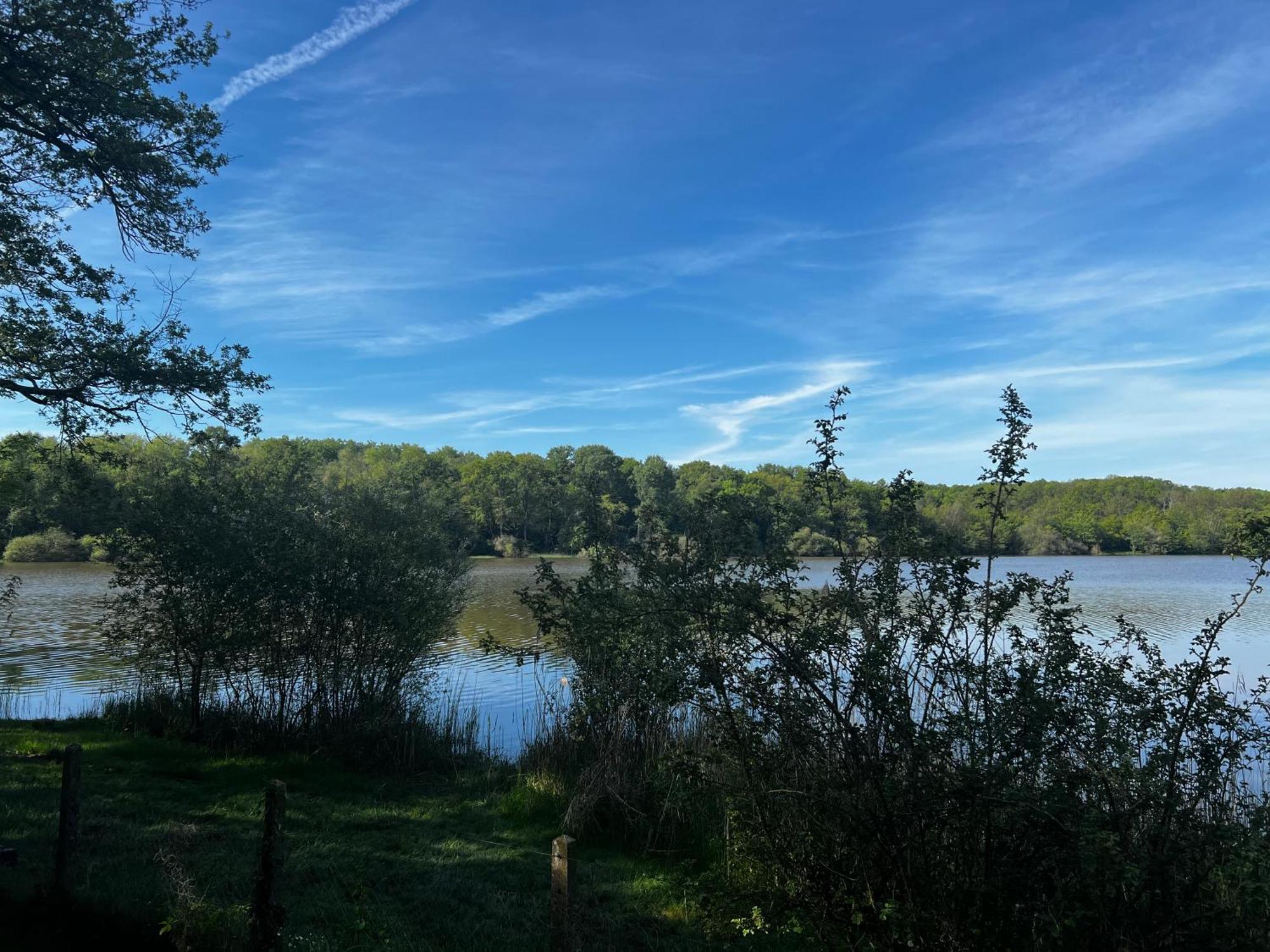 Les Boulmiers Chalet Au Bord De L'Etang 4 Pers מראה חיצוני תמונה